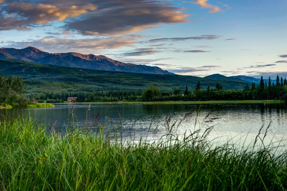 Sunrise in Denali National Park