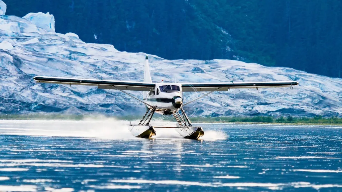 Juneau plane