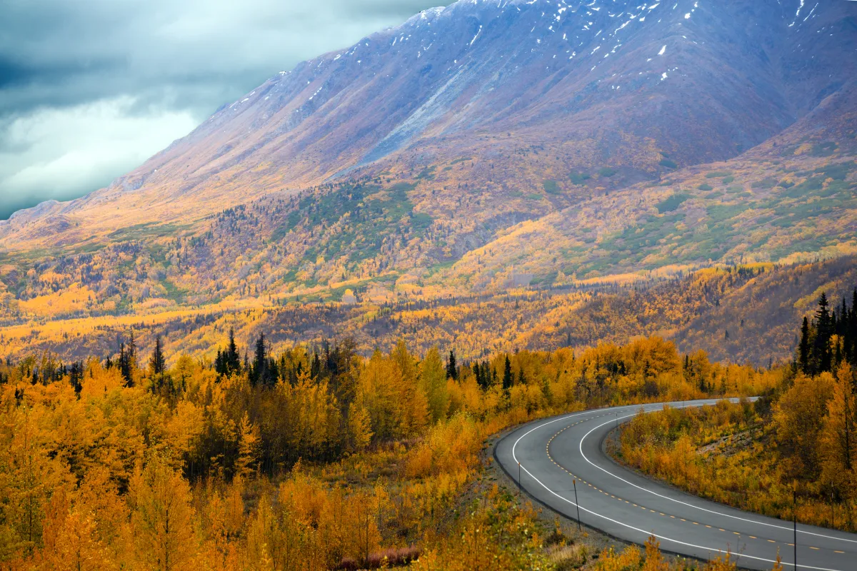Alaska Highway from Haines Junction