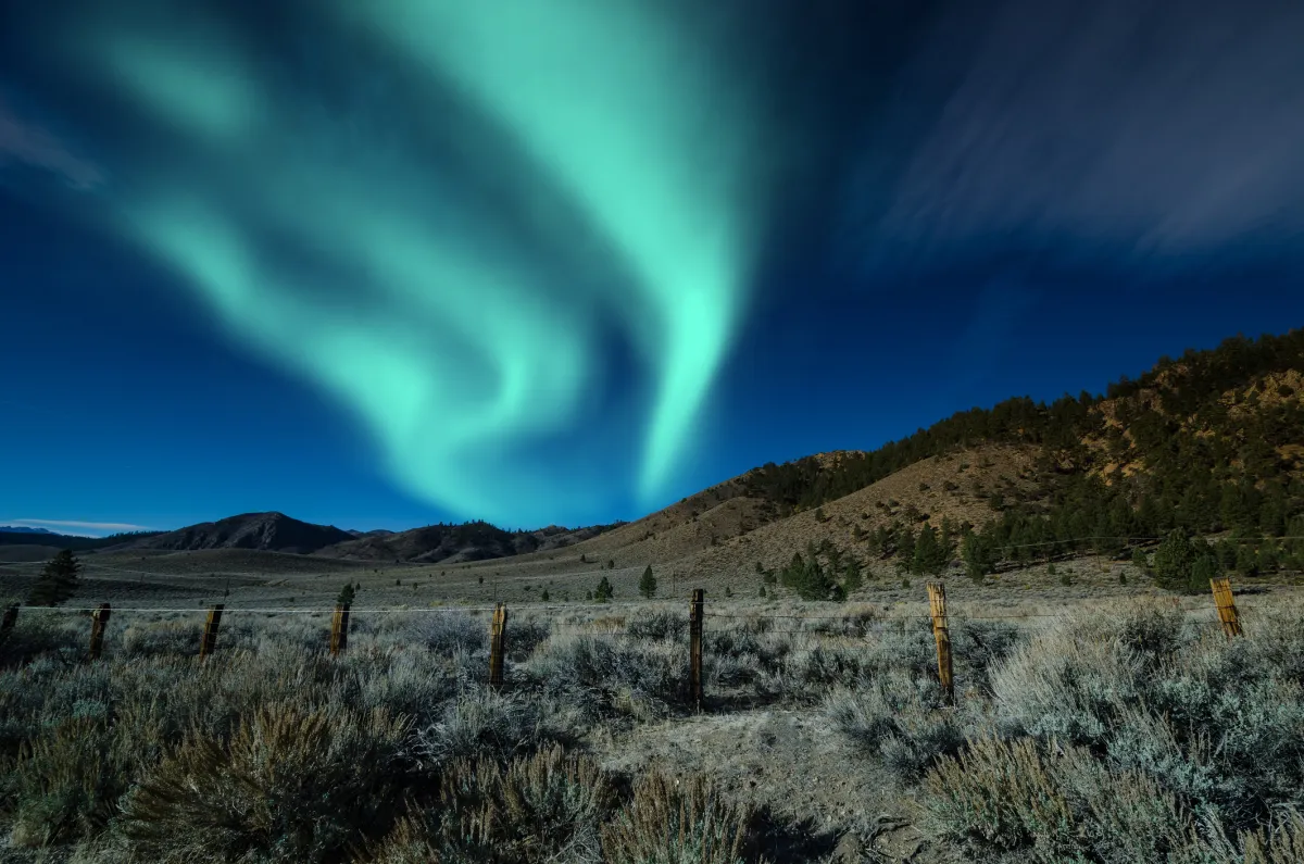 aurora borealis and stars over trees