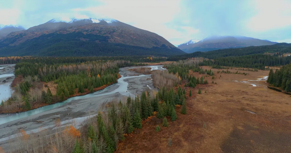 wild salmon creek in Seward, Alaska